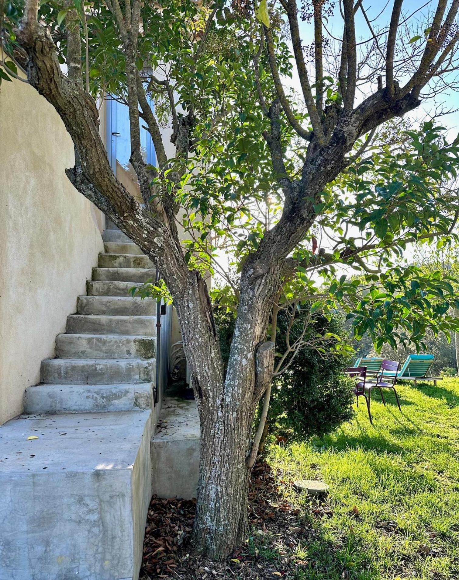 לינה וארוחת בוקר Villelaure Domaine La Ferme Hi Bride מראה חיצוני תמונה