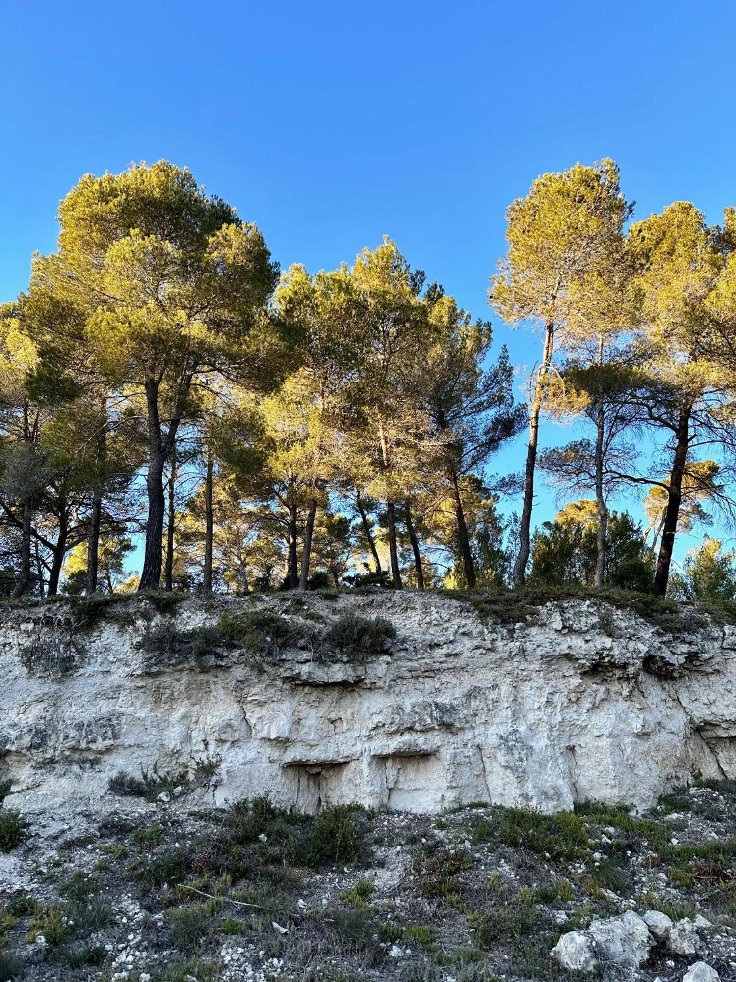 לינה וארוחת בוקר Villelaure Domaine La Ferme Hi Bride מראה חיצוני תמונה