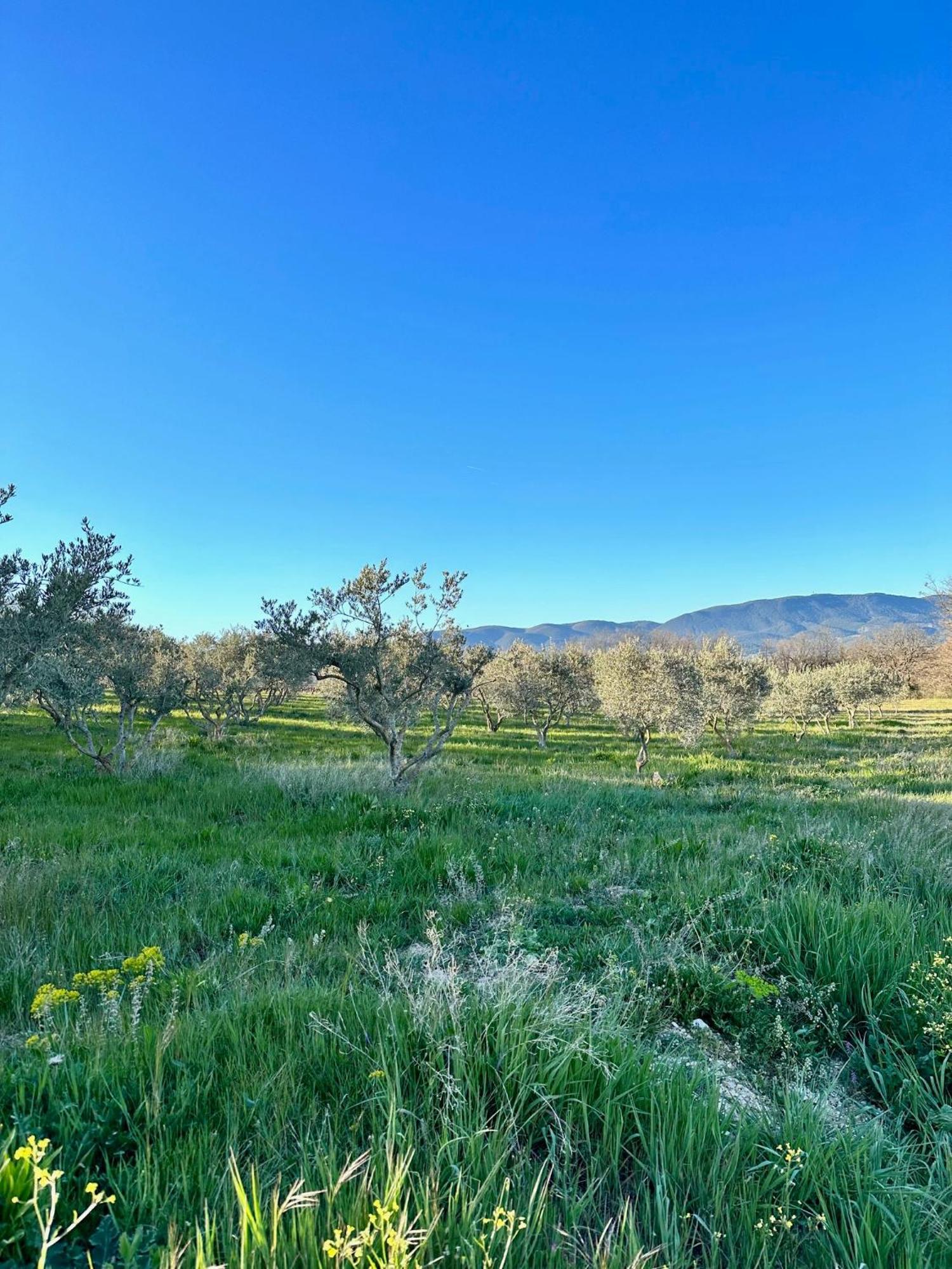 לינה וארוחת בוקר Villelaure Domaine La Ferme Hi Bride מראה חיצוני תמונה